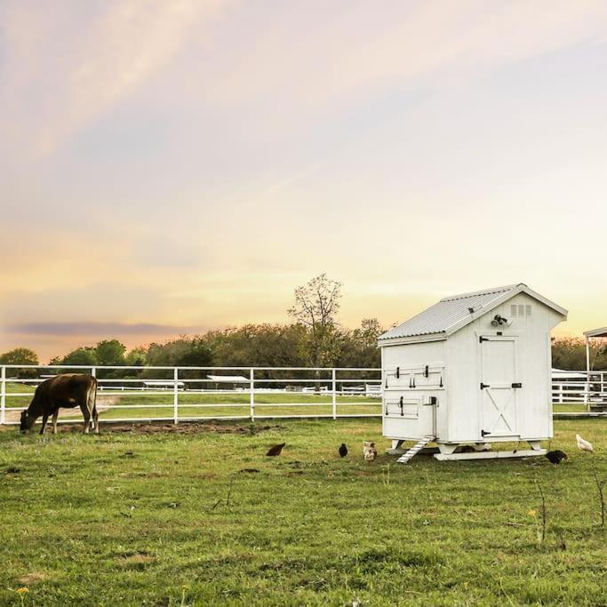 Stunning 2Br Beautiful Farm - Near Round Top Villa Greenvine Exterior photo